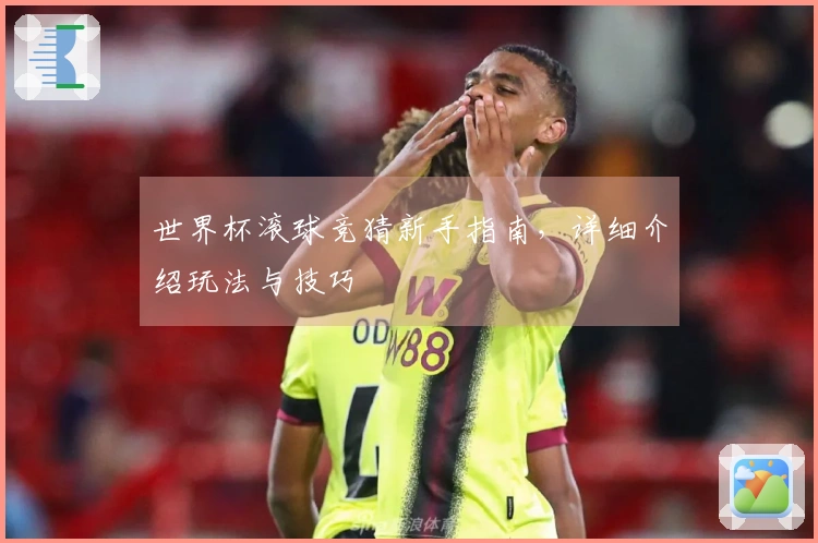 世界杯滚球竞猜新手指南，详细介绍玩法与技巧