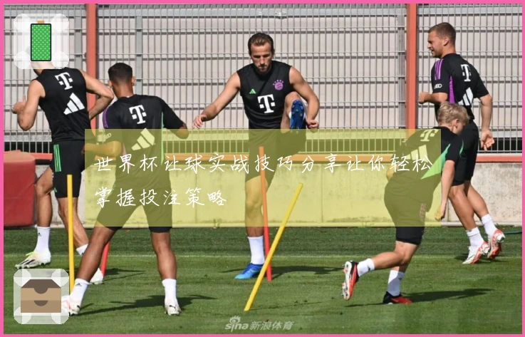 世界杯让球实战技巧分享让你轻松掌握投注策略