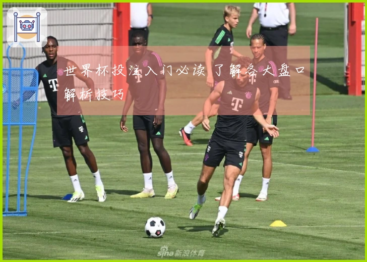 世界杯投注入门必读 了解各大盘口解析技巧