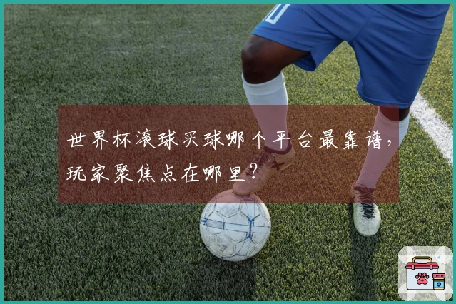 世界杯滚球买球哪个平台最靠谱，玩家聚焦点在哪里？