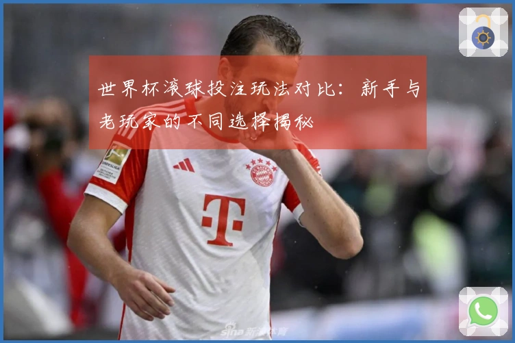 世界杯滚球投注玩法对比：新手与老玩家的不同选择揭秘