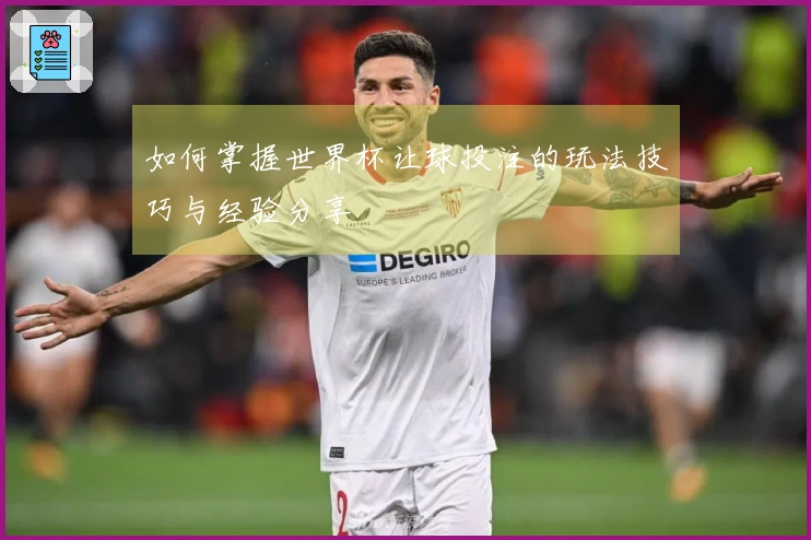 如何掌握世界杯让球投注的玩法技巧与经验分享