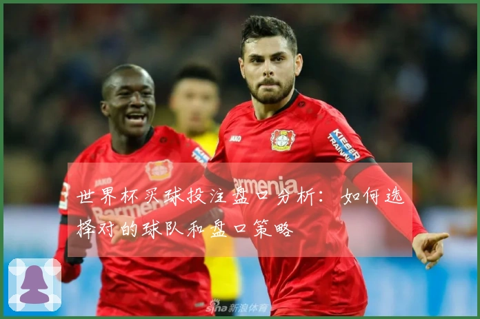 世界杯买球投注盘口分析：如何选择对的球队和盘口策略