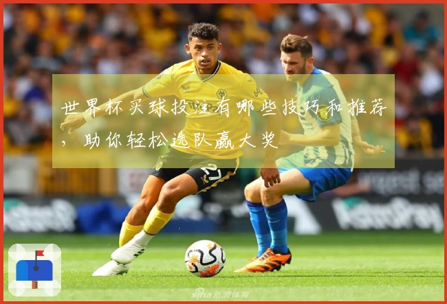 世界杯买球投注有哪些技巧和推荐，助你轻松选队赢大奖