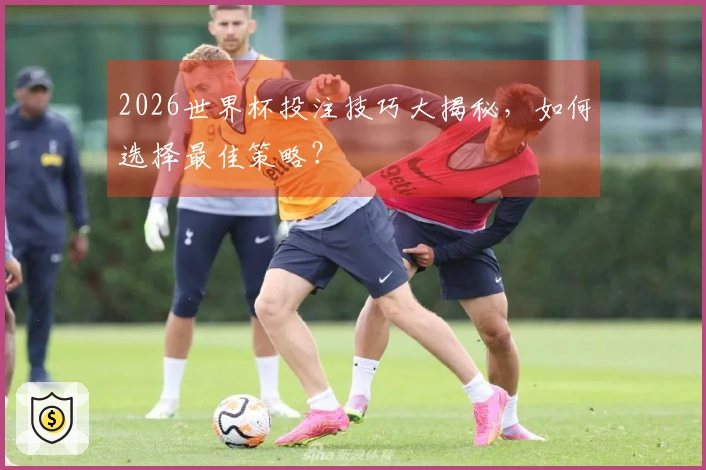 2026世界杯投注技巧大揭秘，如何选择最佳策略？