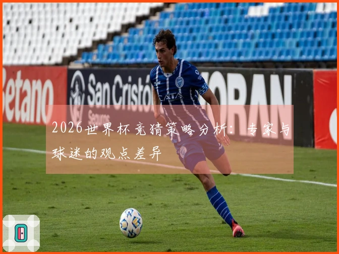 2026世界杯竞猜策略分析：专家与球迷的观点差异