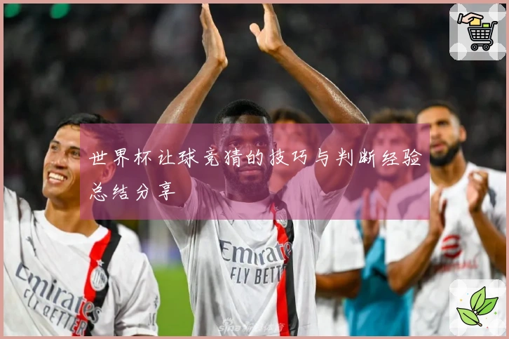世界杯让球竞猜的技巧与判断经验总结分享