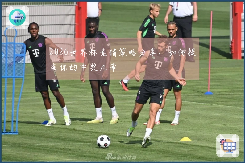 2026世界杯竞猜策略分享，如何提高你的中奖几率